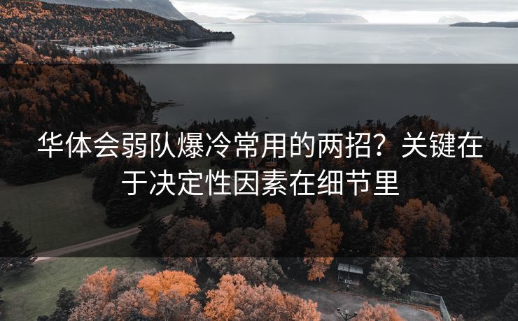 华体会弱队爆冷常用的两招？关键在于决定性因素在细节里