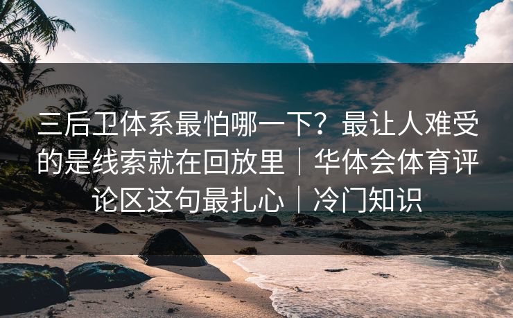 三后卫体系最怕哪一下?最让人难受的是线索就在回放里|华体会体育评论区这句最扎心|冷门知识 三后卫体系最怕哪一下?最让人难受的是线索就在回放里|华体会体育评论区这句最扎心|冷门知识